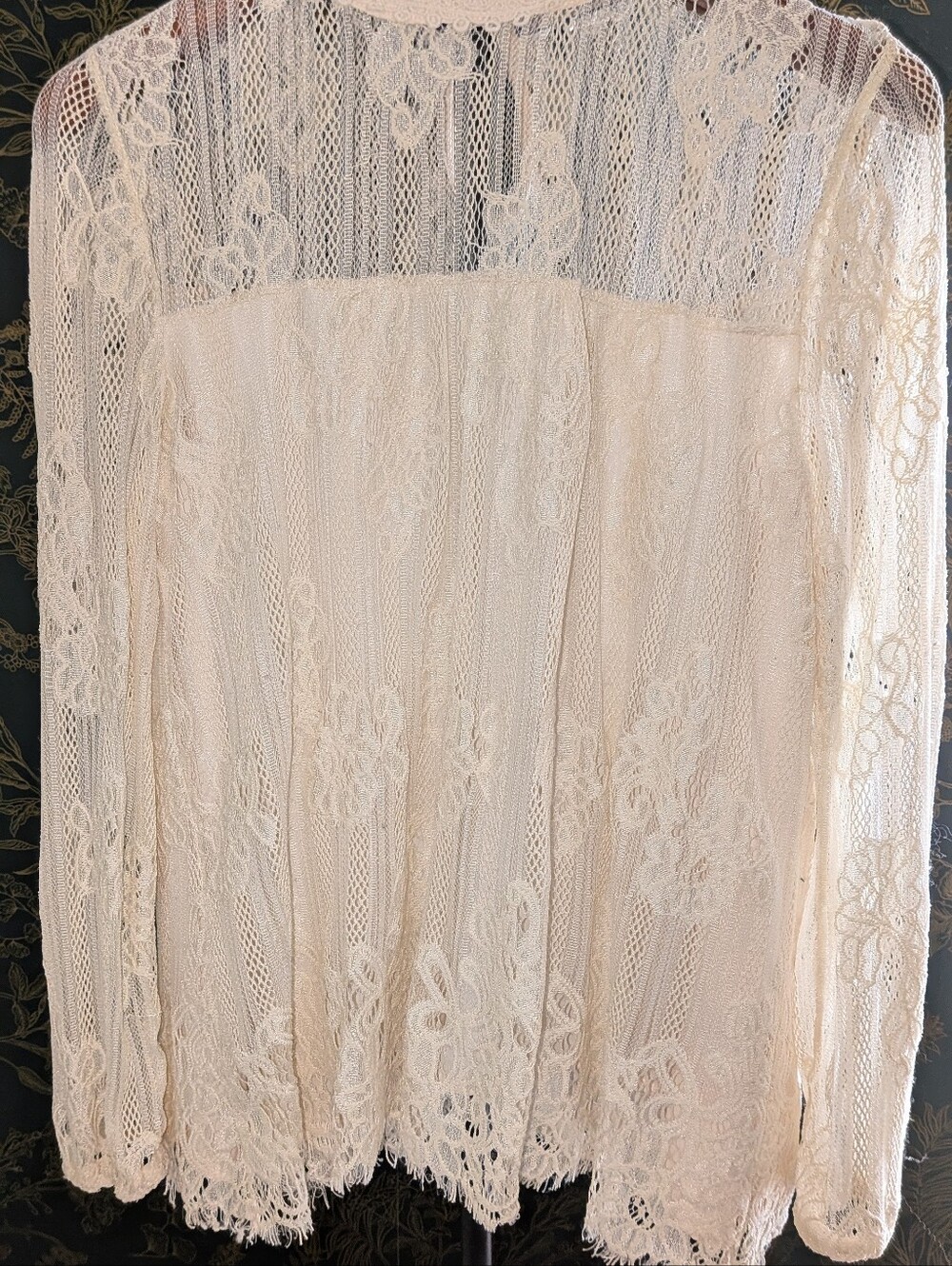 Altar's state Ivory Lace High Neck Blouse Romantic Victorian Sheer Long Sleeve T